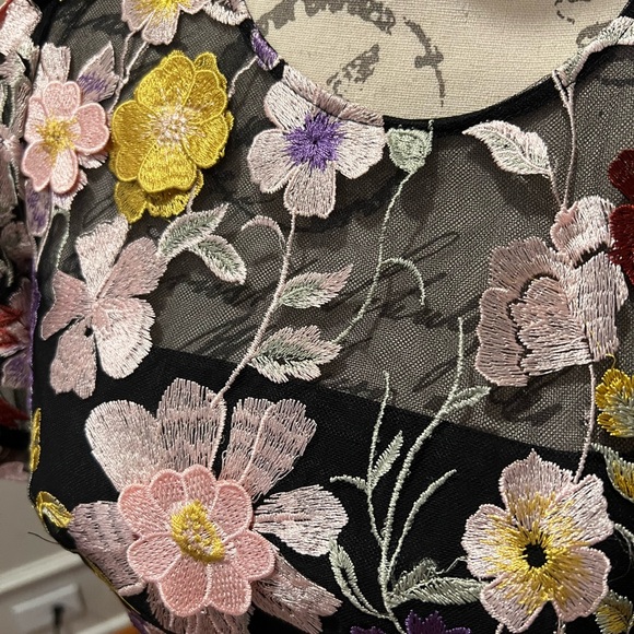 NWT Gorgeous Milly Embroidery Dress - Picture 4 of 7